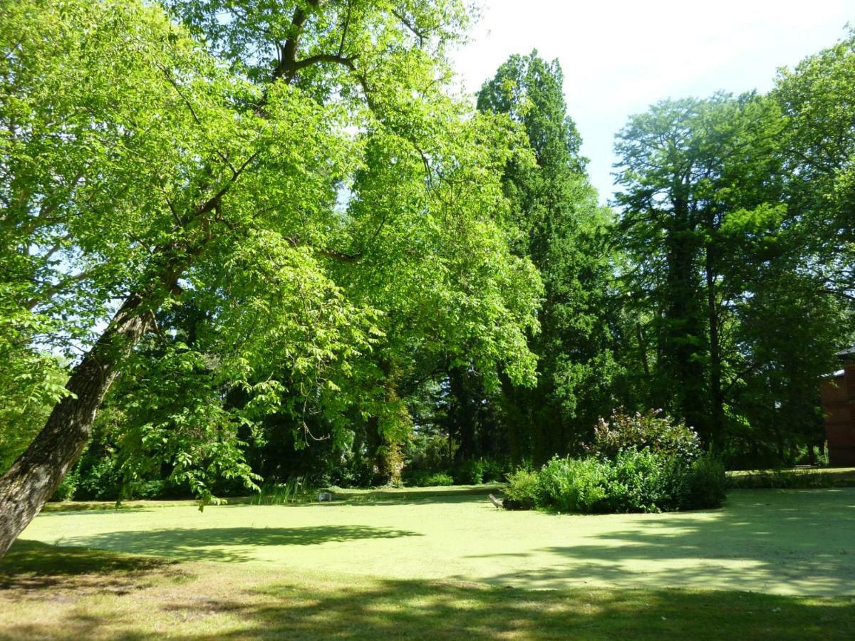 Vita Ferienresidenz Neu Kaliss Exteriör bild